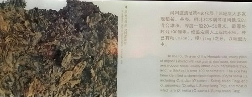图片4.png 皇冠